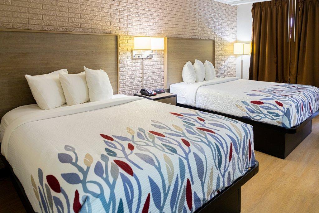 Red Roof Inn Savannah - Richmond Hill I-95 Εξωτερικό φωτογραφία